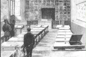 escuela madrid-2-ElGatoHungaro